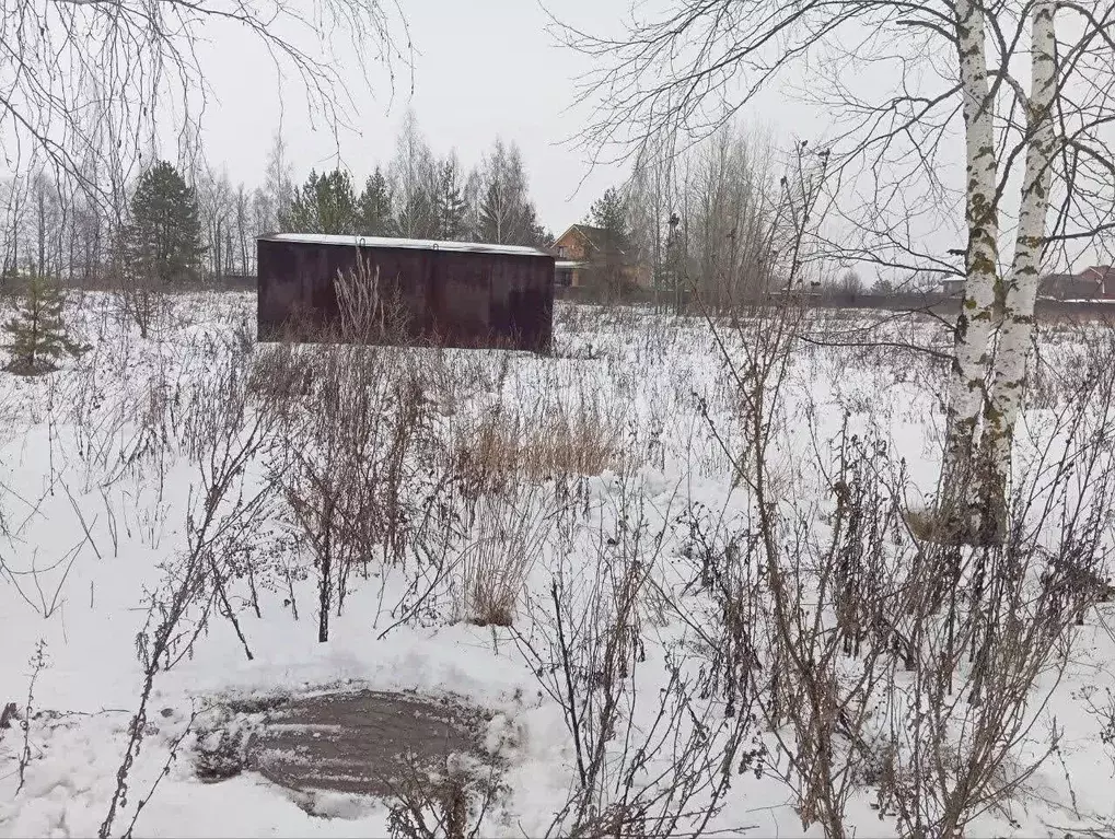 Участок в Липецкая область, с. Доброе ул. Родниковая, 6 (30.0 сот.) - Фото 2
