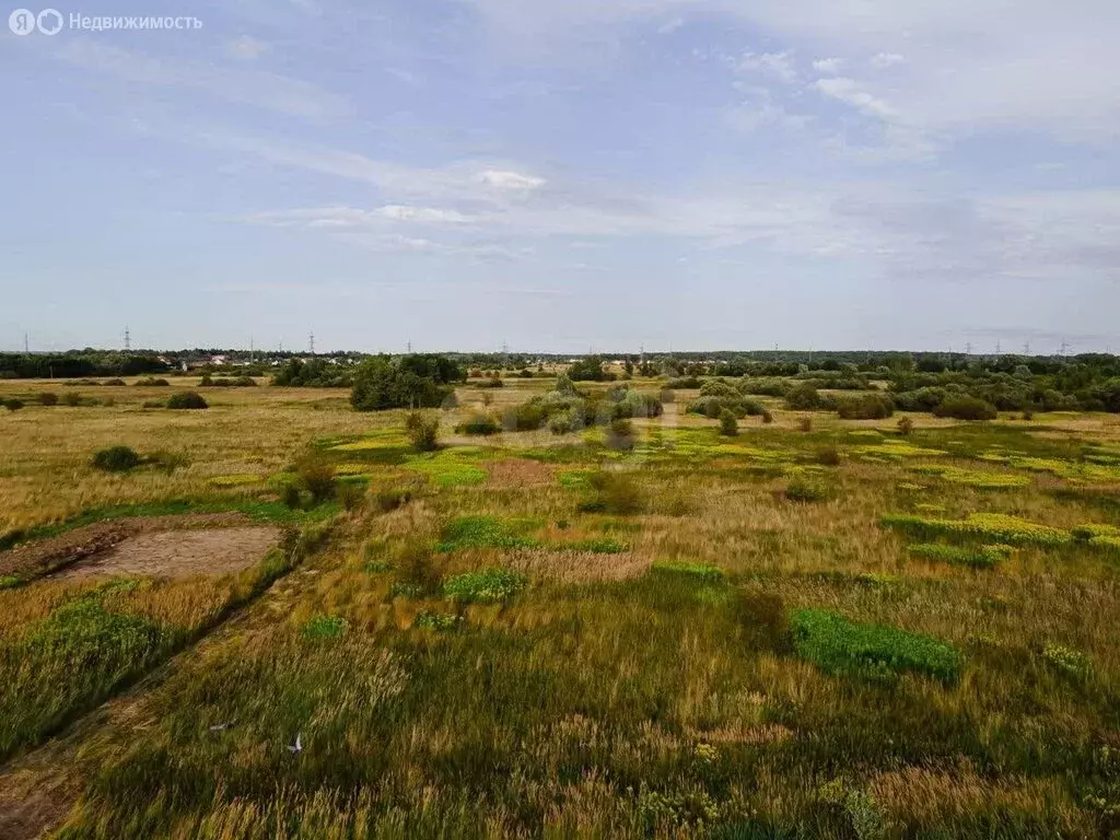 Участок в Калининградская область, Гурьевский муниципальный округ, ... - Фото 2