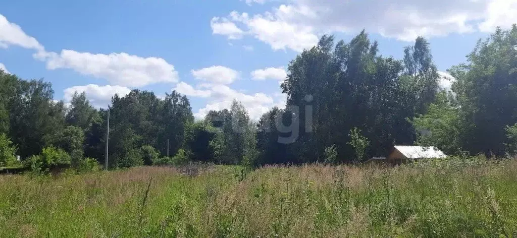 Участок в Владимирская область, Гороховецкий муниципальный округ, пос. ... - Фото 1