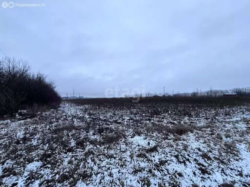 Участок в село Устье, Гражданская улица (54.5 м) - Фото 1