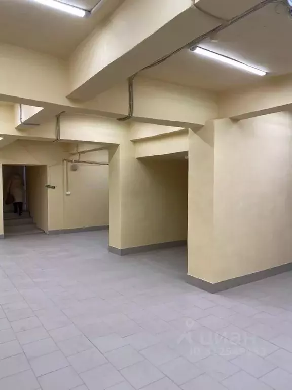 Помещение свободного назначения в Новосибирская область, Новосибирск ... - Фото 1
