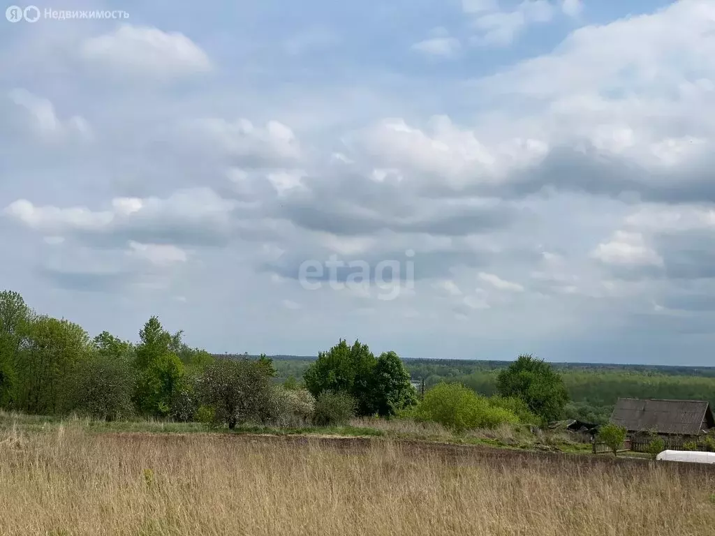 Участок в Юровское сельское поселение, деревня Острая Лука (19 м) - Фото 1