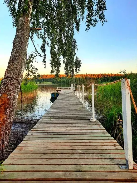 Дом в Карелия, Сортавальский муниципальный округ, пос. Лавиярви 90 (40 ... - Фото 0
