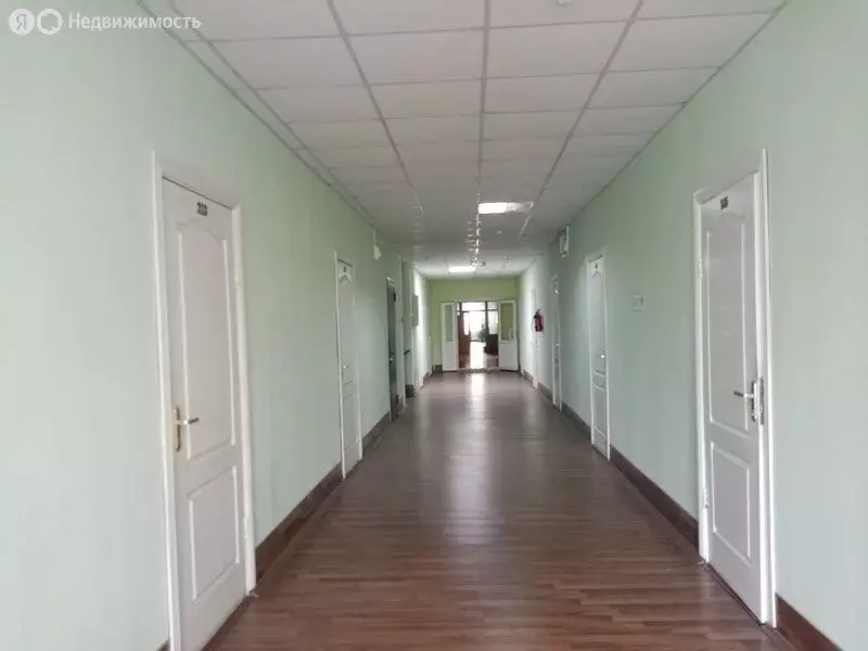 Офис (33.1 м) - Фото 1