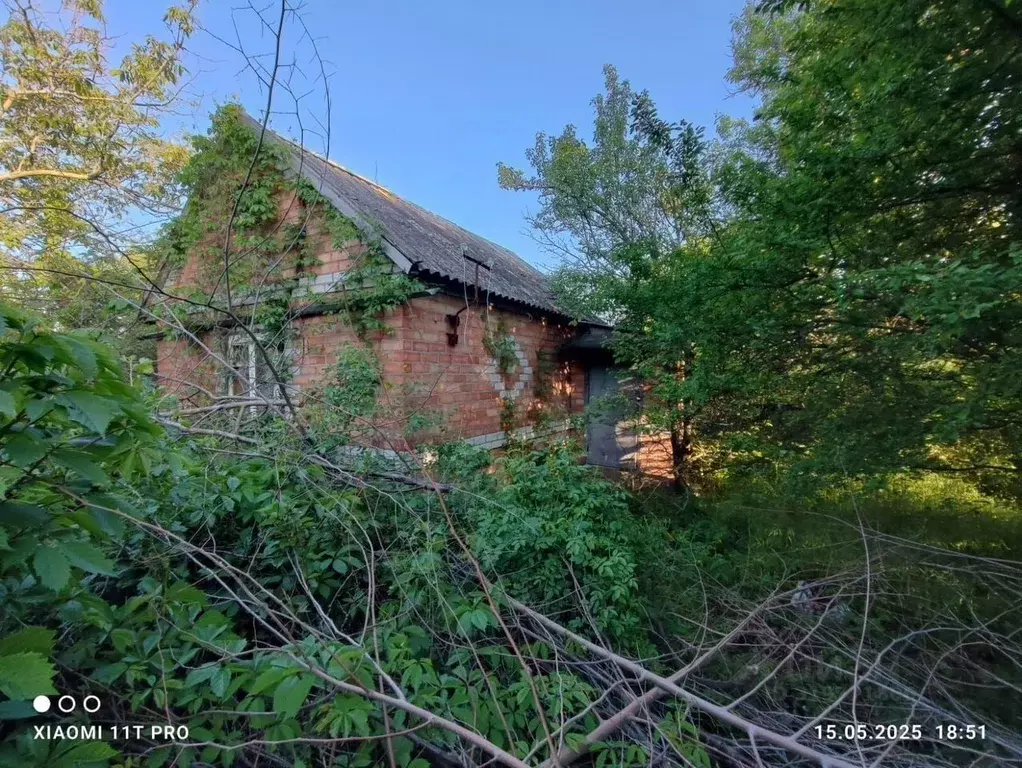 Участок в Краснодарский край, Ейское городское поселение, пос. ... - Фото 0