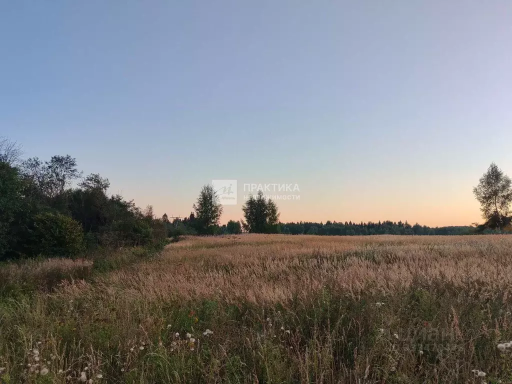 Участок в Московская область, Дмитровский муниципальный округ, д. ... - Фото 1