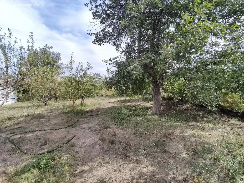 Участок в Волгоград, СНТ Рекорд, 9-я линия (4.8 м) - Фото 1