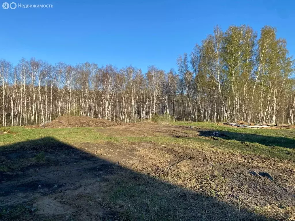Участок в Станционный сельсовет, ТСН Облепиха, Тихая улица (11.44 м) - Фото 2