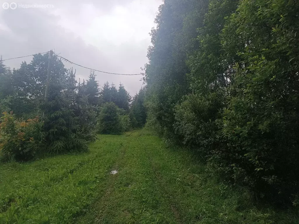 Участок в Новоселицы, Луговая улица (38 м) - Фото 1