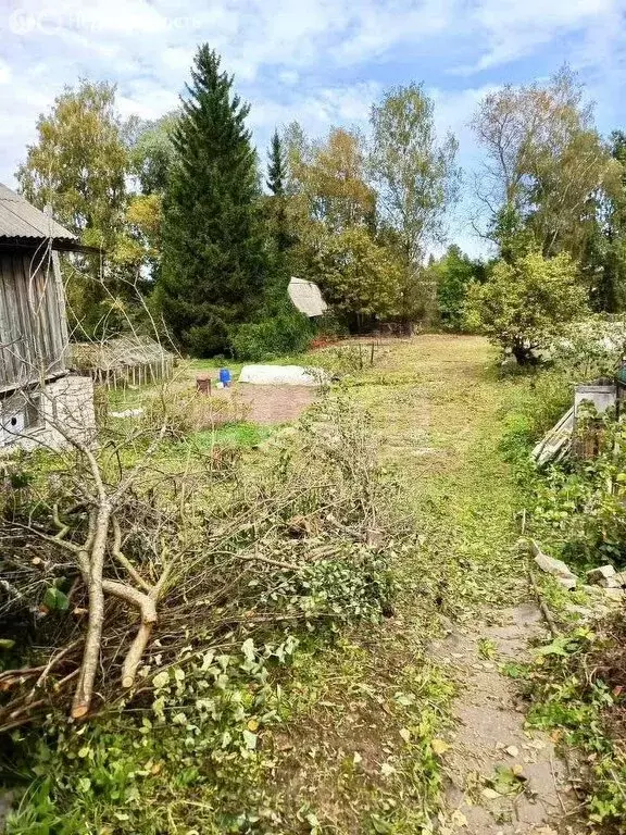 Участок в Кострома, садоводческое товарищество Заря Коммунизма (7.1 м) - Фото 1