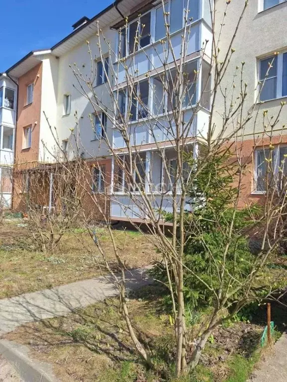 1-к кв. Московская область, Ступино городской округ, с. Верзилово, ... - Фото 1