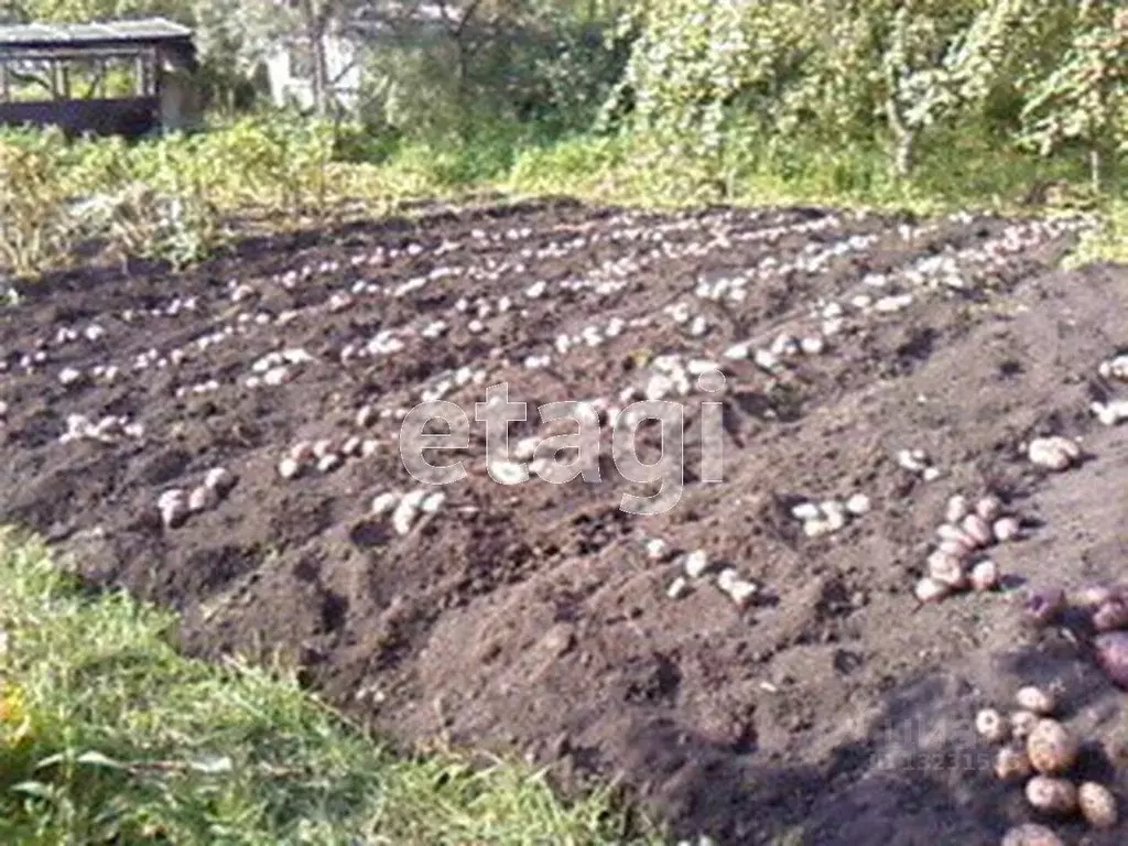 Миасс Этажи Купить Землю