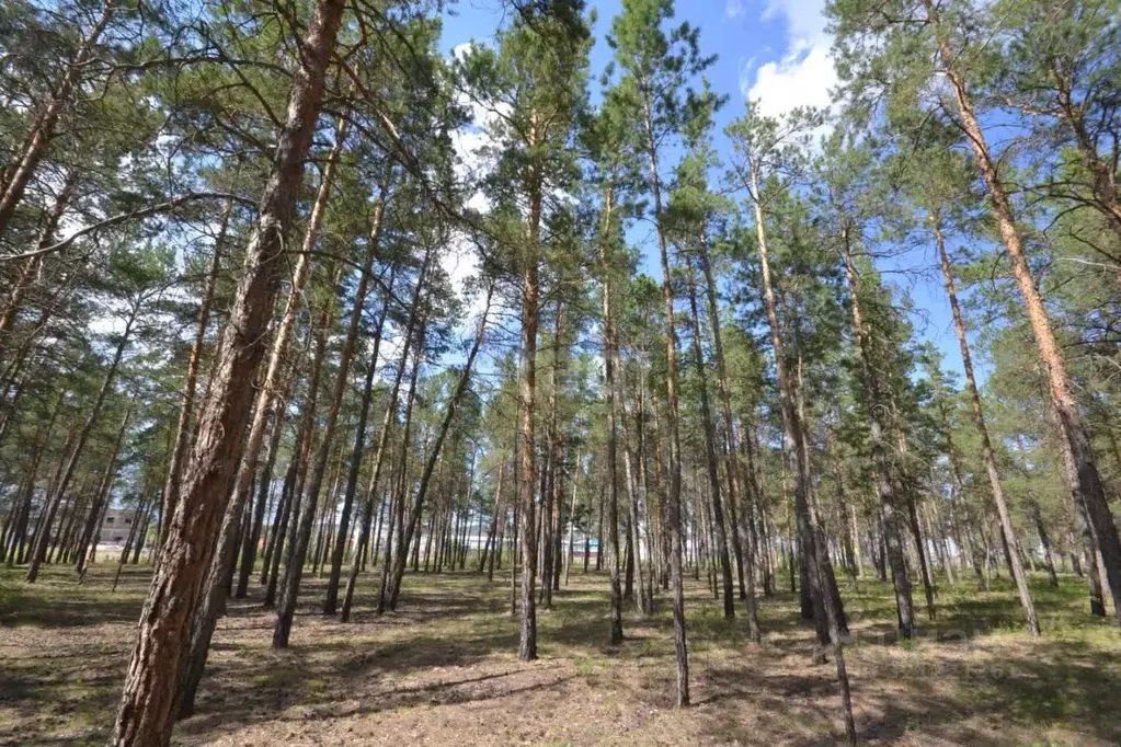 Участок в Саха (Якутия), Якутск Октябрьский округ,  (10.0 сот.) - Фото 1