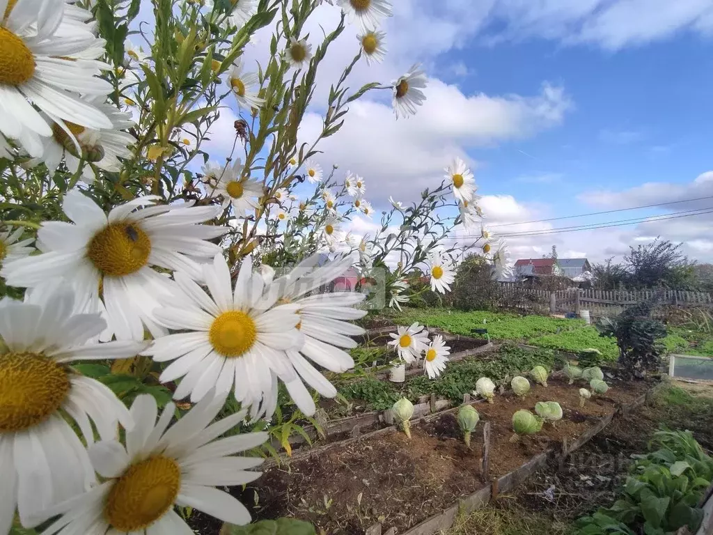 Участок в Марий Эл, Йошкар-Ола Транспортная ул. (6.0 сот.) - Фото 2