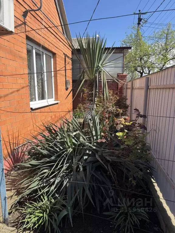 Дом в Краснодарский край, Белореченск  (65 м) - Фото 1