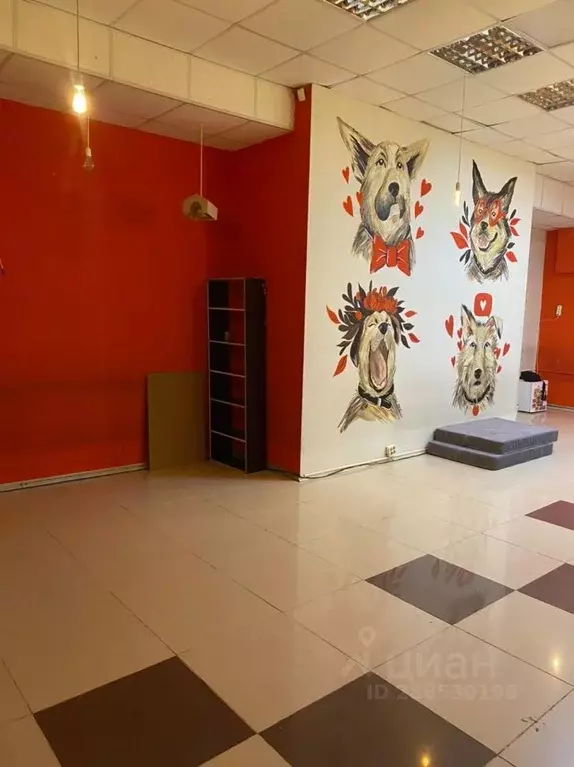 Помещение свободного назначения в Новосибирская область, Новосибирск ... - Фото 1