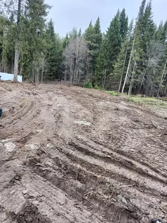 Участок в Коми, Сыктывкар проезд Геологов, 3 (9.41 сот.) - Фото 1