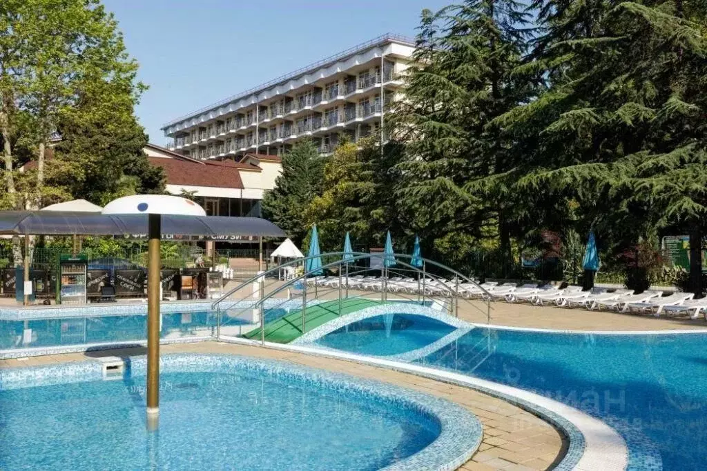 Комната Краснодарский край, Сочи ул. Ленина, 233 (10.0 м) - Фото 1