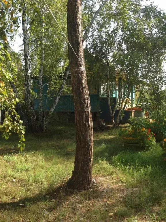Дом в Саха (Якутия), Якутск ул. Ветеранская (67 м) - Фото 1