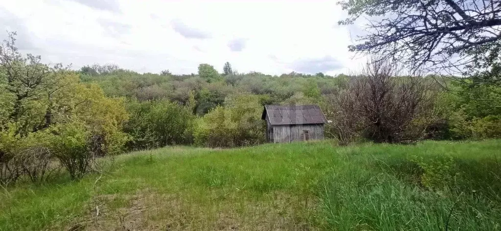 Участок в Белгородская область, Губкин Горняк-Мичуринец СТ,  (7.66 ... - Фото 1