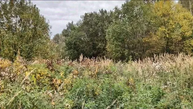 Участок в Московская область, Щелково городской округ, д. Богослово  ... - Фото 1