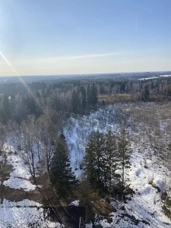 2-к кв. Московская область, Солнечногорск городской округ, пос. Жуково ... - Фото 1