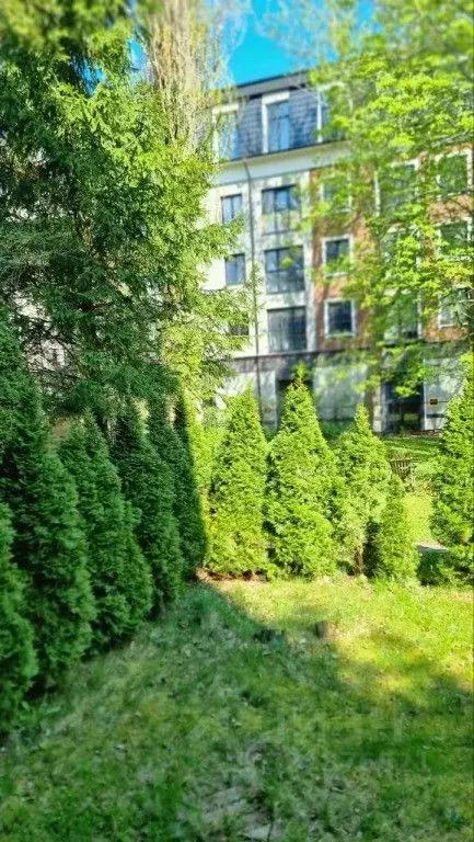 2-к кв. Калининградская область, Светлогорск Калининградский просп., ... - Фото 2