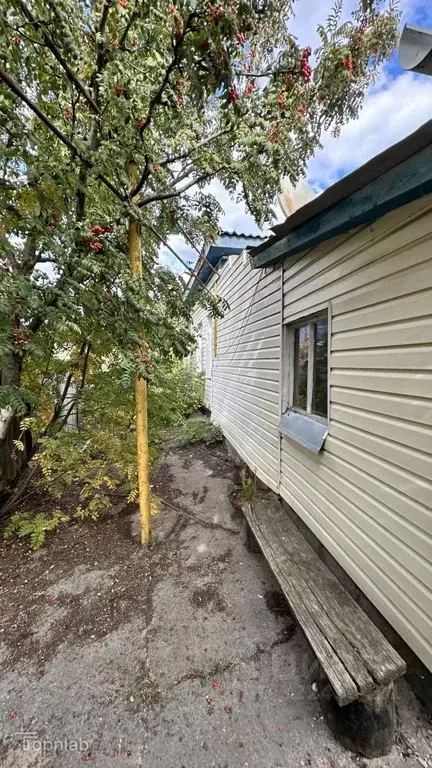 Дом в Волгоградская область, Иловлинский район, с. Лог ул. Садовая (68 ... - Фото 1