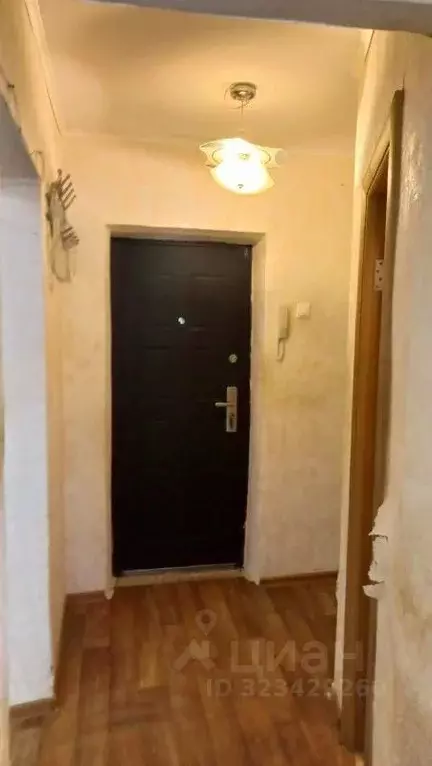 1-к кв. Краснодарский край, Геленджик ул. Гринченко (26.0 м) - Фото 2