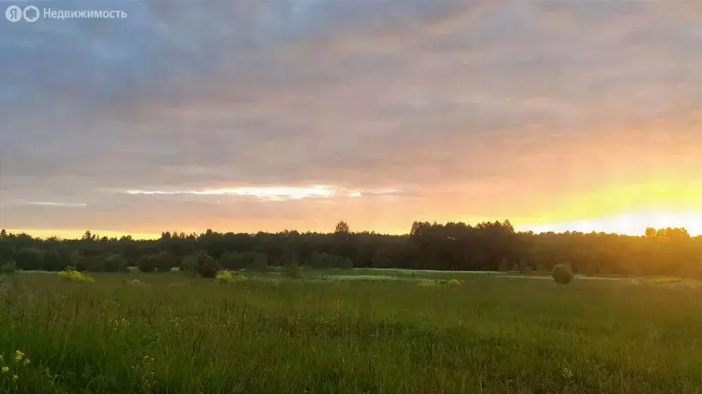 Участок в Гостилицкое сельское поселение, КП Изумрудный (11 м) - Фото 1