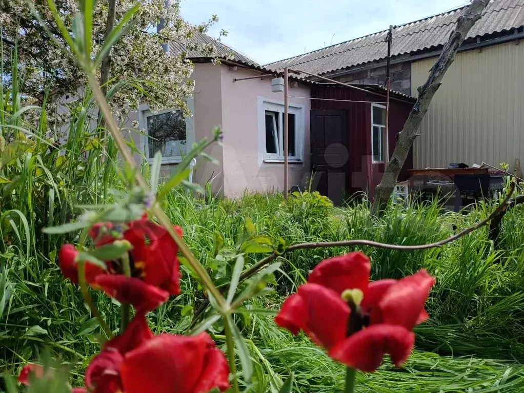 Дом 47 м на участке 2 сот. - Фото 0