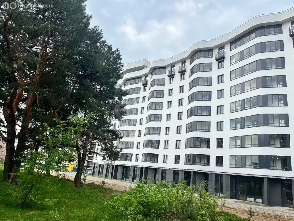1-комнатная квартира: посёлок Красный Бор, квартал Светлояр, 2 (37.63 ... - Фото 1