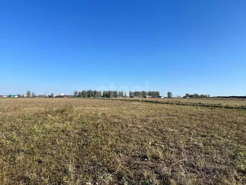 Участок в Мордовия, Лямбирский район, Берсеневское с/пос, Альтерра кп  ... - Фото 2