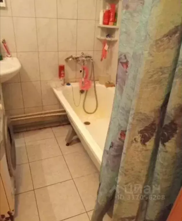 Комната Санкт-Петербург ул. Еремеева, 1 (17.0 м) - Фото 1
