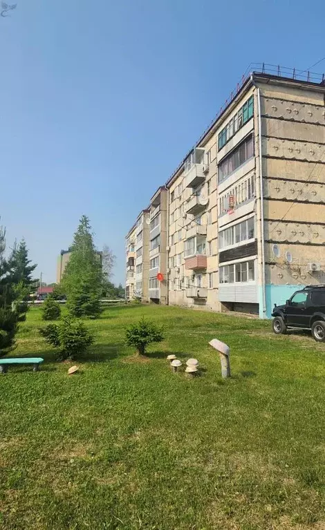 2-к кв. Еврейская автономная область, Смидовичский район, пос. ... - Фото 1