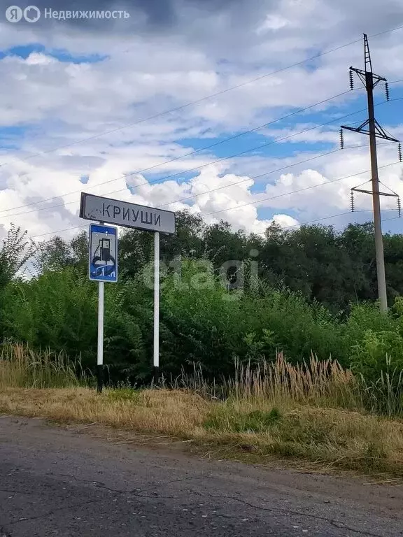 Участок в Ульяновская область, городской округ Новоульяновск, село ... - Фото 1