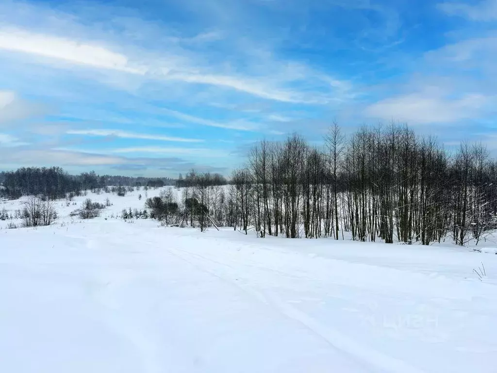 Участок в Московская область, Дмитровский муниципальный округ, Сбоево ... - Фото 2
