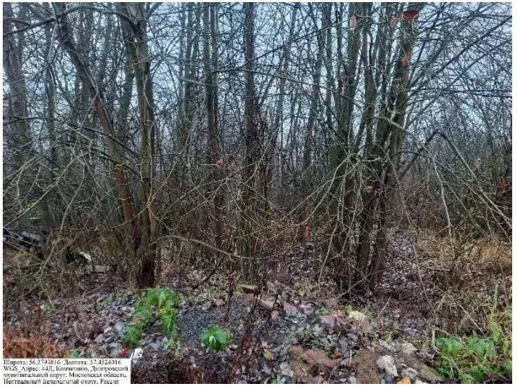 Участок в Московская область, Дмитровский муниципальный округ, д. ... - Фото 1