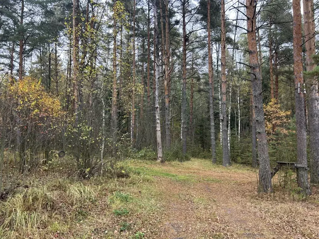 Дом в Владимирская область, Александровский муниципальный округ, ... - Фото 2