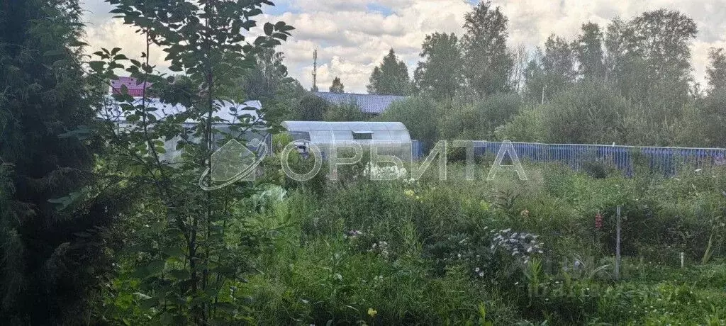 Участок в Тюменская область, Тюмень Березняки СНТ, ул. Цветочная, 47 ... - Фото 0