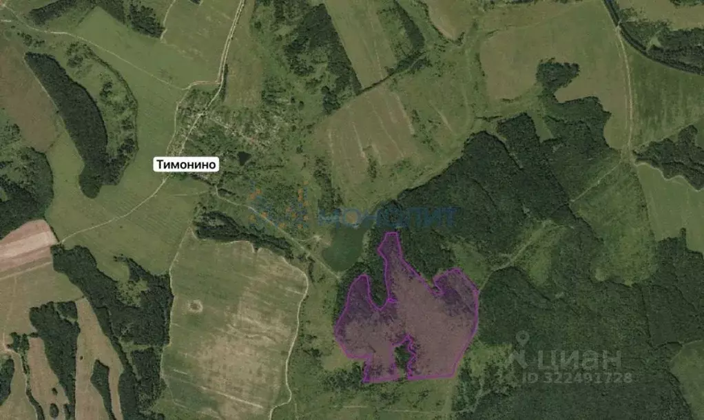 Участок в Нижегородская область, Богородский муниципальный округ, д. ... - Фото 1