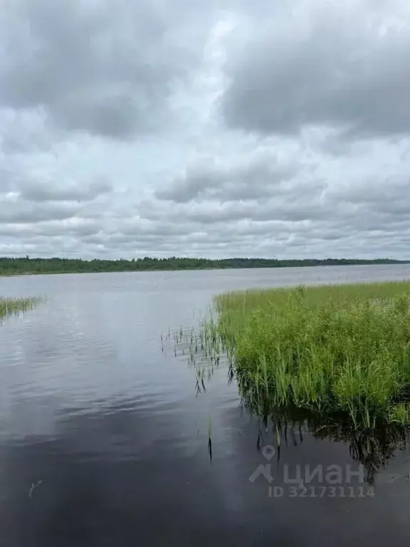 Участок в Ленинградская область, Гатчинский муниципальный округ, д. ... - Фото 0