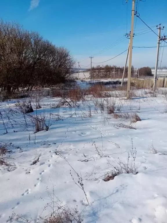 Участок в Белгородская область, Бирюч Красногвардейский район, ул. 8 ... - Фото 0