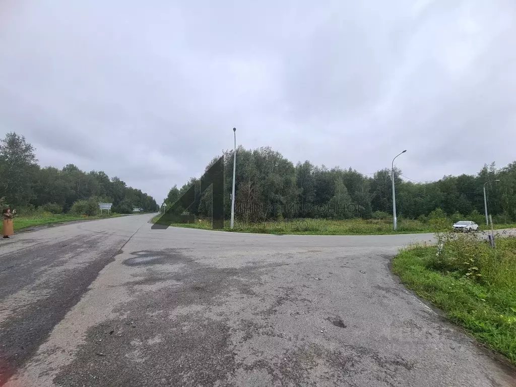 Участок в Тюменская область, Тюменский район, д. Решетникова  (15.0 ... - Фото 1