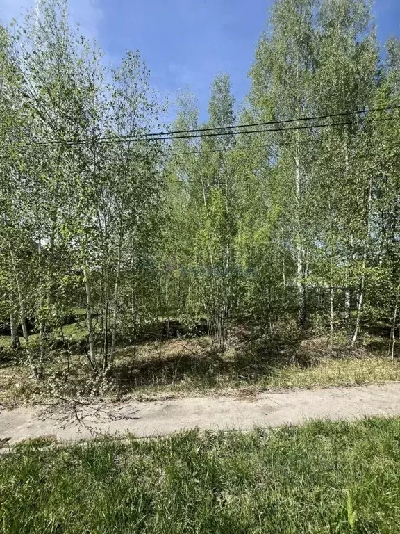 Участок в Нижегородская область, с. Безводное ул. Березовая (15.0 ... - Фото 2