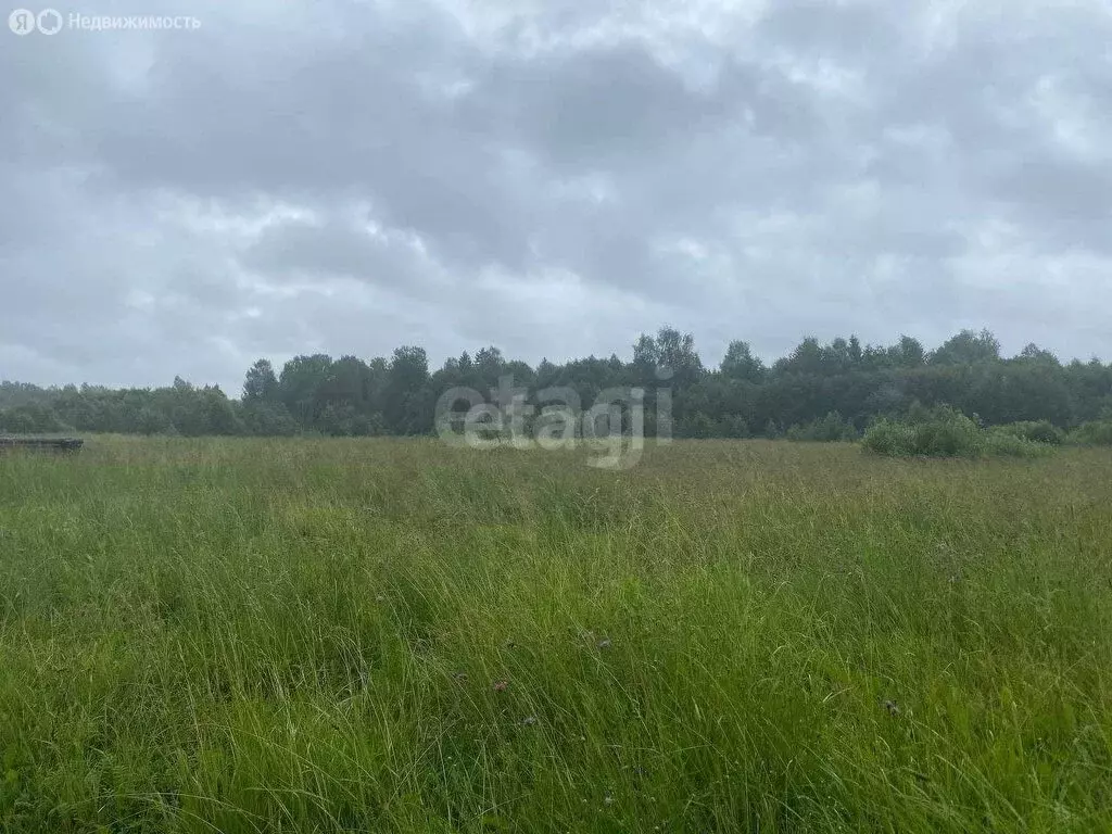 Участок в Ярославская область, Большесельский муниципальный округ, ... - Фото 1