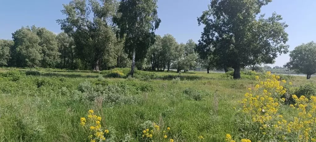 Участок в Томская область, Кривошеинский район, д. Бараново пер. ... - Фото 0