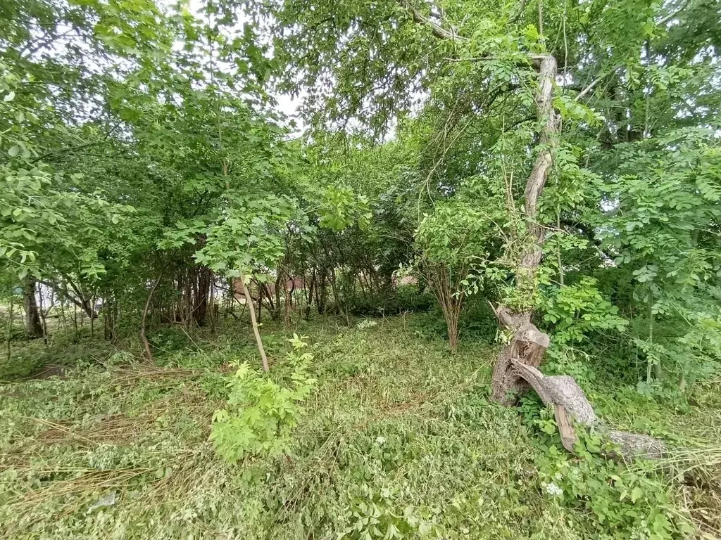 Участок в Калининградская область, Калининград ул. 1-я Большая ... - Фото 0