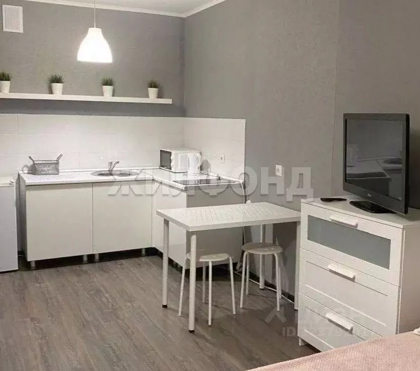 1-к кв. Новосибирская область, Новосибирск ул. Фадеева, 66/9 (27.7 м) - Фото 2