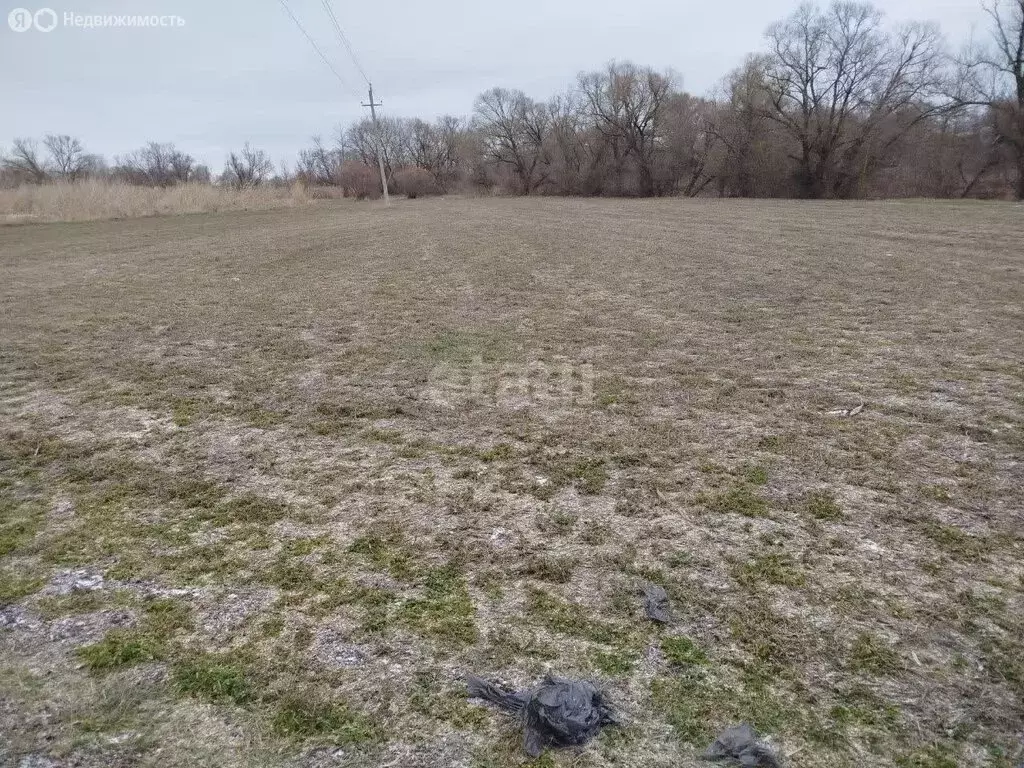 Участок в Стрелецкое сельское поселение, садоводческое товарищество ... - Фото 2